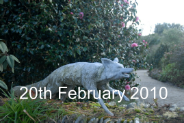 20th February 2010